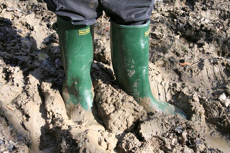 Wellington boots squelching through the clay mud of Maulden Wood, Bedfordshire.